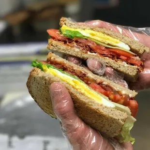 a person holding a sandwich