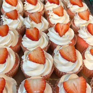 Strawberry tres leches cupcakes with whipped cream