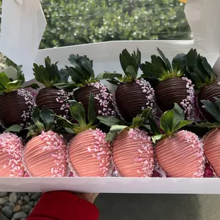 Chocolate covered berries