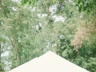 Grace Vineyards