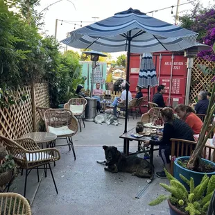 Back patio