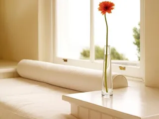 Acosta Cleaning & Services