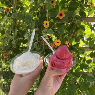Caramel Cashew (vanilla, Caramel, Cashews) and Pomegranate Dole whip