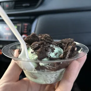 Kiddie grasshopper flavor of the day