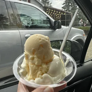 Pineapple (Dole) and Vanilla Custard