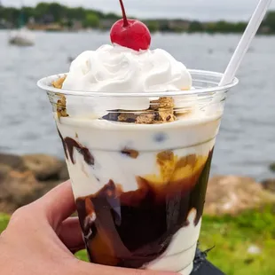 Turtle (replaced nuts with cookie dough)