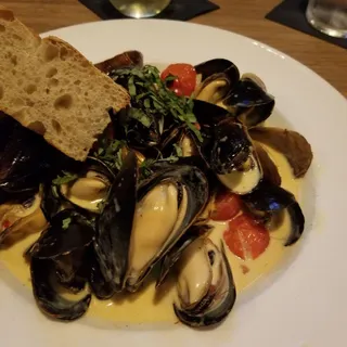 MUSSELS