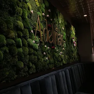 moss covered wall