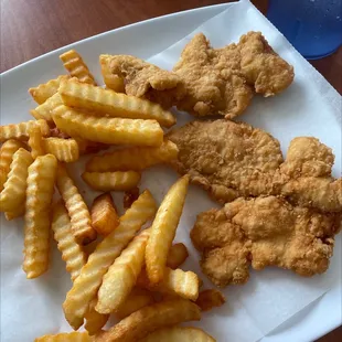 Kids chicken strips