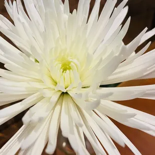 Fresh flowers at every table