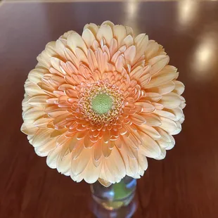 Fresh flower  at every table