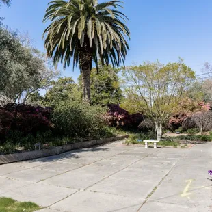 Part of the grounds of the mansion