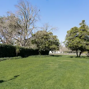 Part of the grounds of the mansion