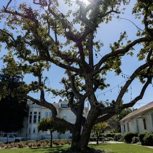 Part of the grounds of the mansion