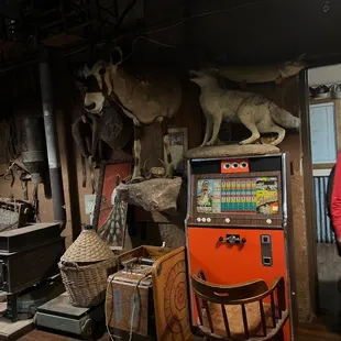 Oryx 1 of many cool taxidermy