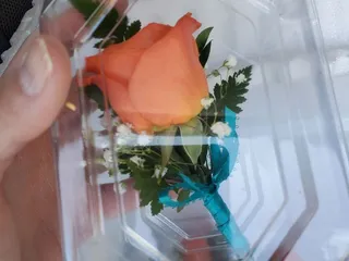 Blossom Flowers And Sweets