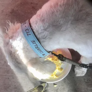 Charles had scrambled eggs