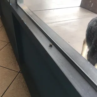 Nasty