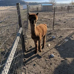 Clean well kept enclosures
