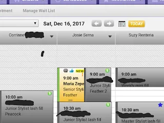 Lash Ink & Esthetix Spa