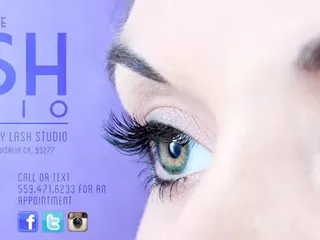 The Lash Studio