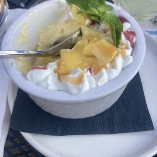 Mousse De Mango Con Salsa De Frutos Rojos