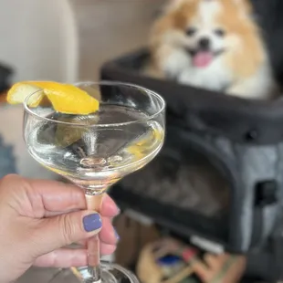 Vesper, Haku from the Nokori Bar