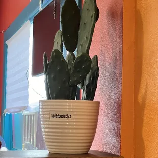 Decor - funny saying!