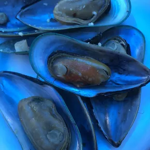 a plate of mussels