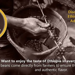 Want to enjoy the taste of Ethiopia in every sip? Our coffee beans come directly from farmers to ensure the highest quality and authentic !!