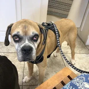 Snoop saying hi to everyone he can in Jan 2020