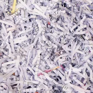 Plant Based Shredding. Want to bring your documents to us? Walk-ins are always welcome.