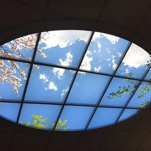Beautiful cheery light in waiting area
