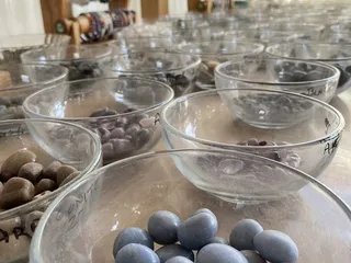 Fertile Earth Nursery