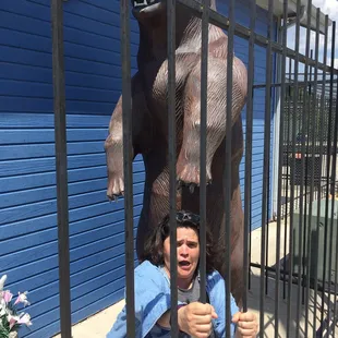 A bear&apos;s got Amy!!!!