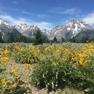 Experience the Grand Tetons