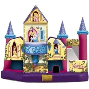 Disney princess 5 in1 combo