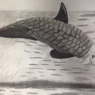 Drawn by my son when he was 7yo