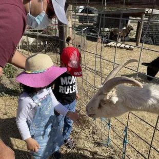 Feeding time.