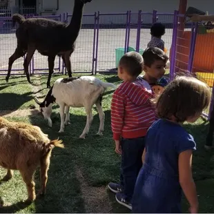 School visit