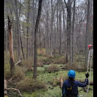 Now imagine this when the trees are not bare.