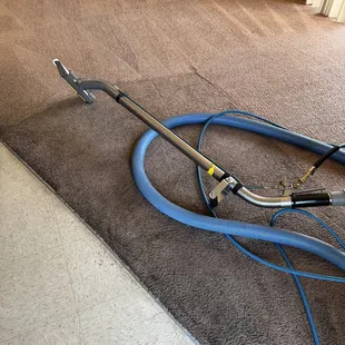 Carpet deep cleaning