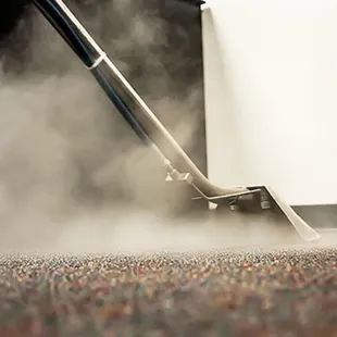 240 temperature consistent heat to remove allergies, dirt, grime, residue, bacteria into our waist tank.