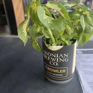 a can of beer on a table