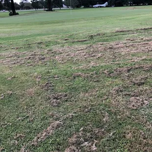 I know it's the rough but GD???