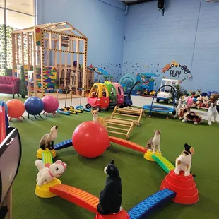 Let our kids run around and have some fun!