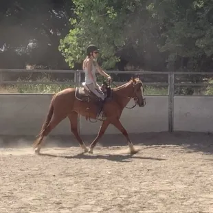 Colt starting