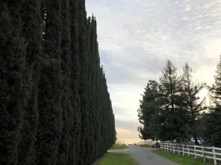 Royal Oak Farm