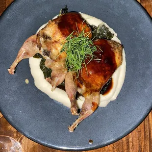 Wachteln (Quail)