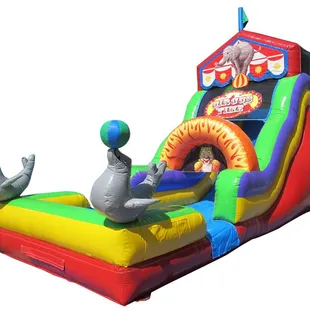 Circus water slide with pool- also fun as a dry slide